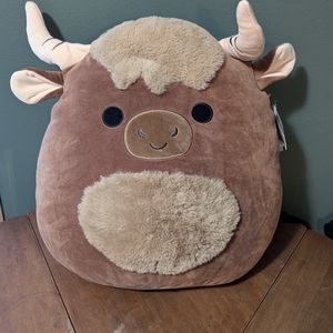 Marshall the longhorn cow